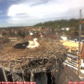 14_30-nest.jpg