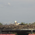 14_35-mast.jpg