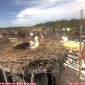 14_35-nest.jpg