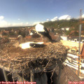 15_30-nest.jpg