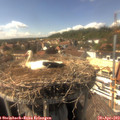 15_40-nest.jpg