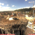 15_45-nest.jpg