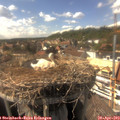 16_00-nest.jpg