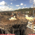 16_05-nest.jpg