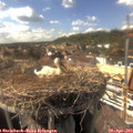 16_10-nest.jpg