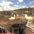 16_15-nest.jpg