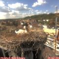 16_20-nest.jpg