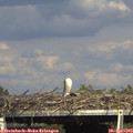 16_35-mast.jpg