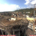 16_45-nest.jpg