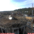 17_55-nest.jpg