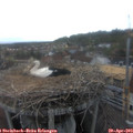 19_05-nest.jpg