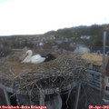 20_10-nest.jpg