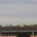 06_25-mast.jpg