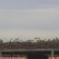 06_30-mast.jpg