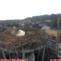 06_35-nest.jpg