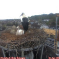 06_40-nest.jpg