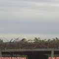 06_45-mast.jpg