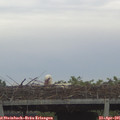 07_00-mast.jpg