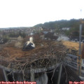 07_00-nest.jpg