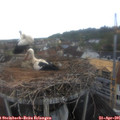 08_00-nest.jpg