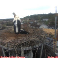 08_20-nest.jpg
