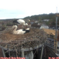 09_25-nest.jpg
