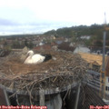 09_35-nest.jpg