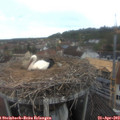 10_00-nest.jpg