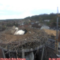 10_05-nest.jpg