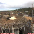 11_05-nest.jpg