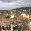 12_15-nest.jpg