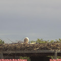 12_25-mast.jpg