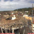 12_25-nest.jpg