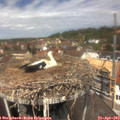 12_30-nest.jpg