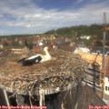 12_40-nest.jpg