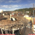 12_55-nest.jpg