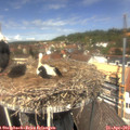 13_00-nest.jpg