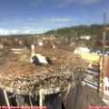 13_05-nest.jpg