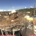 13_10-nest.jpg