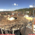13_20-nest.jpg