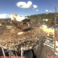 13_35-nest.jpg