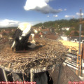 13_45-nest.jpg