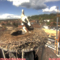 13_55-nest.jpg