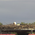 14_05-mast.jpg