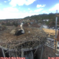 15_05-nest.jpg