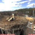 15_35-nest.jpg
