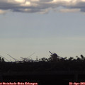 17_55-mast.jpg