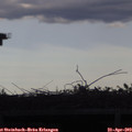 18_05-mast.jpg