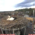 18_10-nest.jpg