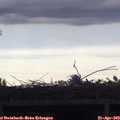 18_20-mast.jpg